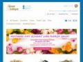 Theflowerboutique Ie Coupon Codes July 2025