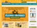 Theflyingbasset Coupon Codes July 2025