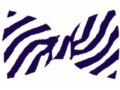 The Frat Collection Coupon Codes March 2025