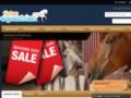 Tictacequestrian Coupon Codes May 2024