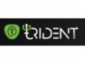 Tridenteer Coupon Codes July 2025