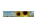 Vallilily Coupon Codes July 2025