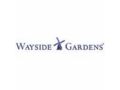 Wayside Gardens Coupon Codes July 2025