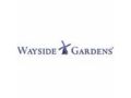 Wayside Gardens 20% Off Coupon Codes May 2024