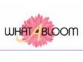 What A Bloom Coupon Codes February 2023