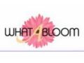 What A Bloom 25% Off Coupon Codes May 2024