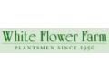 White Flower Farm Coupon Codes April 2024