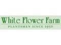 White Flower Farm Coupon Codes July 2025