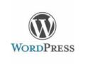 WordPress 20% Off Coupon Codes May 2024