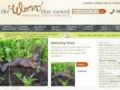 Worm Uk Coupon Codes July 2025