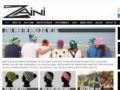 Zaini 10% Off Coupon Codes May 2024